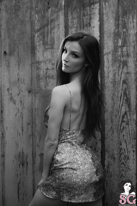 Dainty Wilder