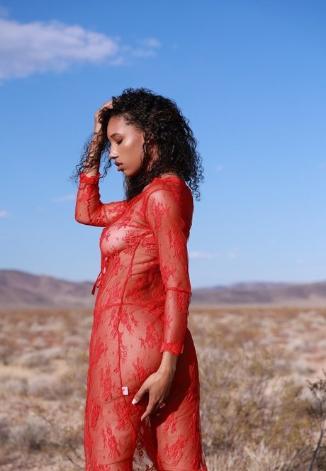 Brookliyn Wren