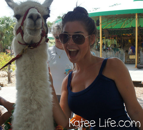 Kateelife