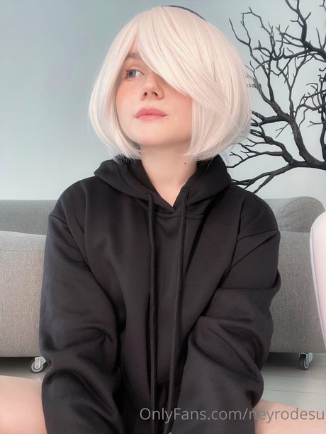 Neyrodesu