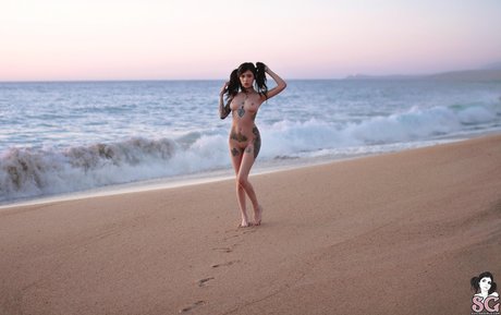 Sara Calixto