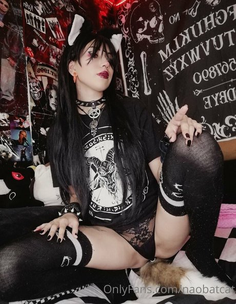 Nao Batcat