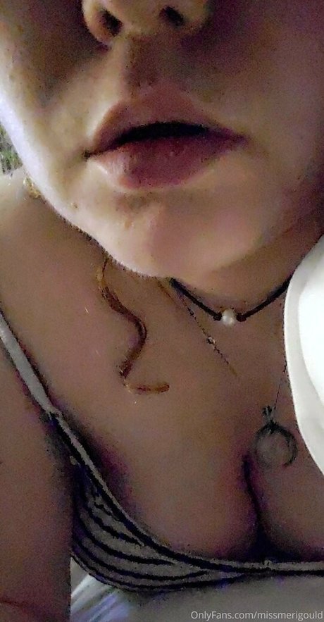Missmerigould