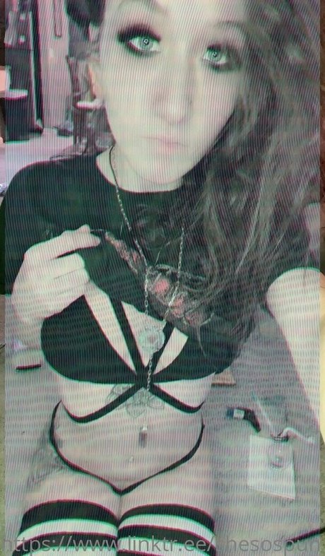 Spunbunny