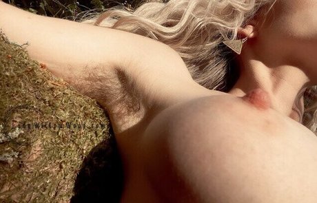 Lady Willow Wood