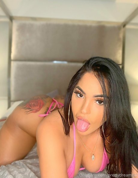 Prettydreamgirl  nude leaked OnlyFans photo