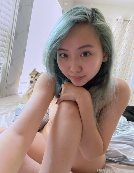 Freesugarcookies