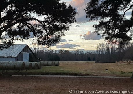 Beersoakedangel02