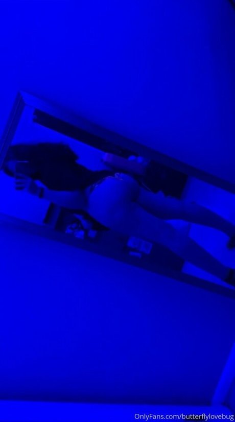 Butterflylovebug