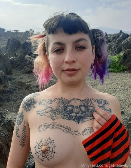 Photo nue de fuite OnlyFans de Gatitajavilun