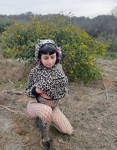Gatitajavilun