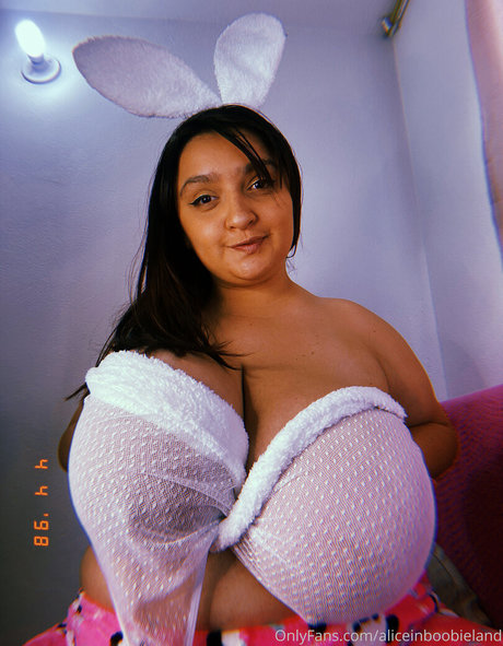 Aliceinboobieland