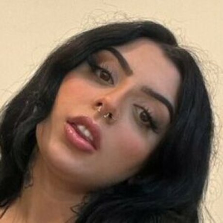 Diannav