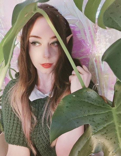 Forestnymphnz