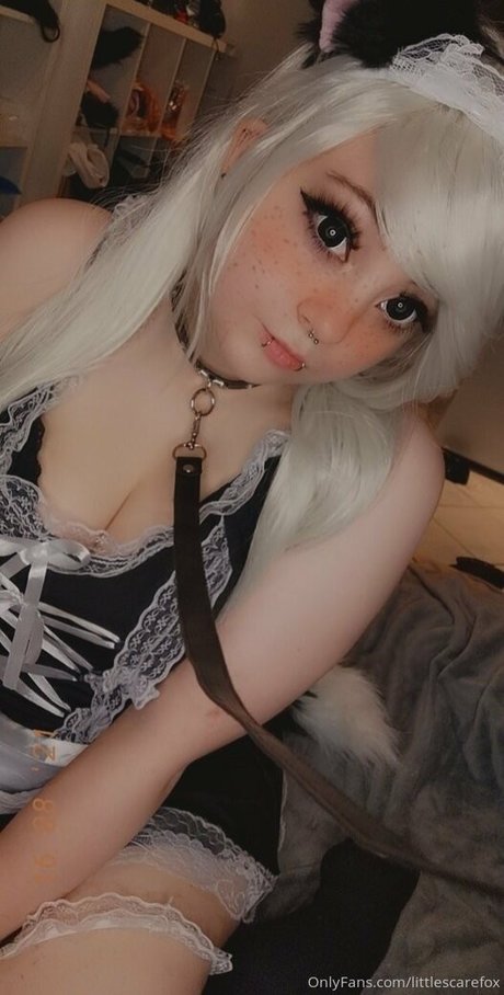 Littlescarefox OnlyFans