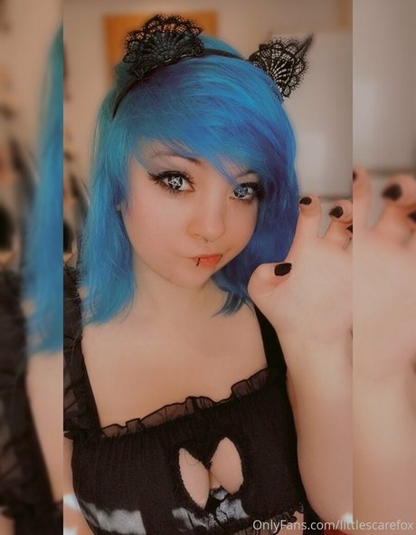 Littlescarefox
