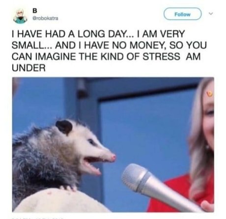 Clumsiersquirrel