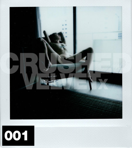 Crushedvelvetx