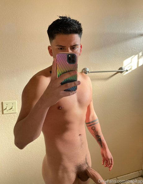 Papitop