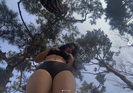 Sc.Pion_