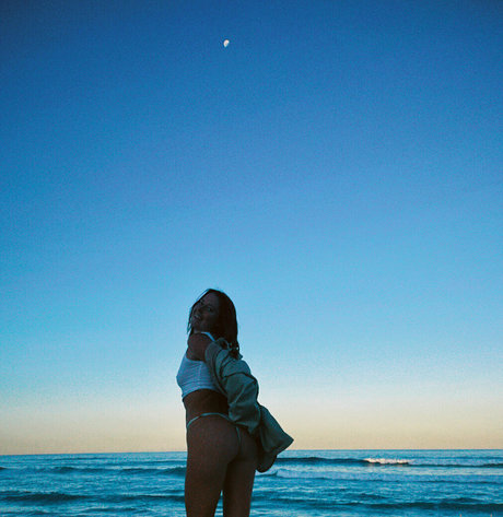 Seasharkcensored OnlyFansリークヌード写真