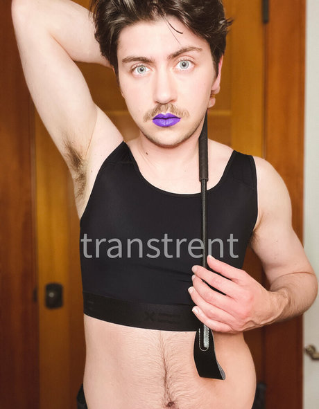Transtrentfree