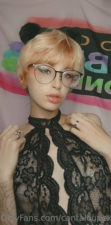 Cantaloupexo