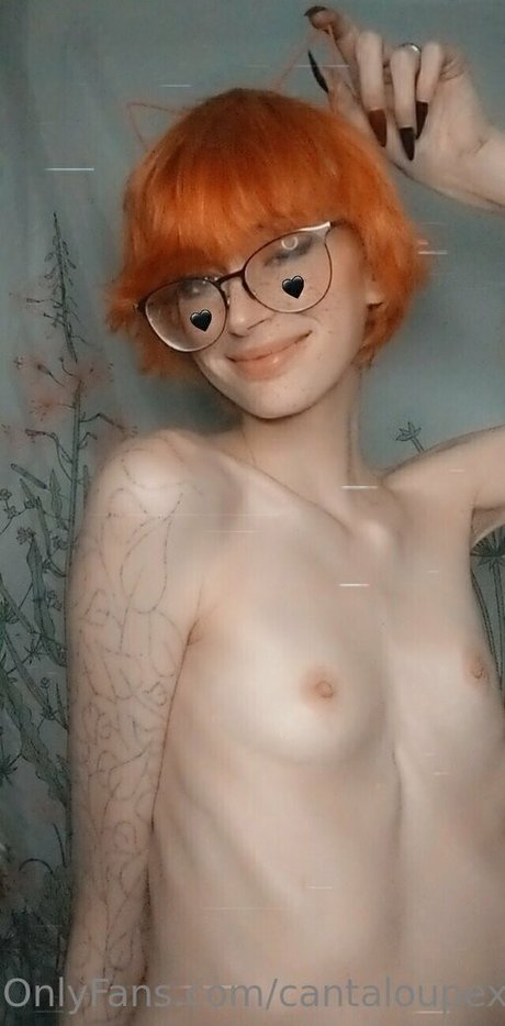 Cantaloupexo