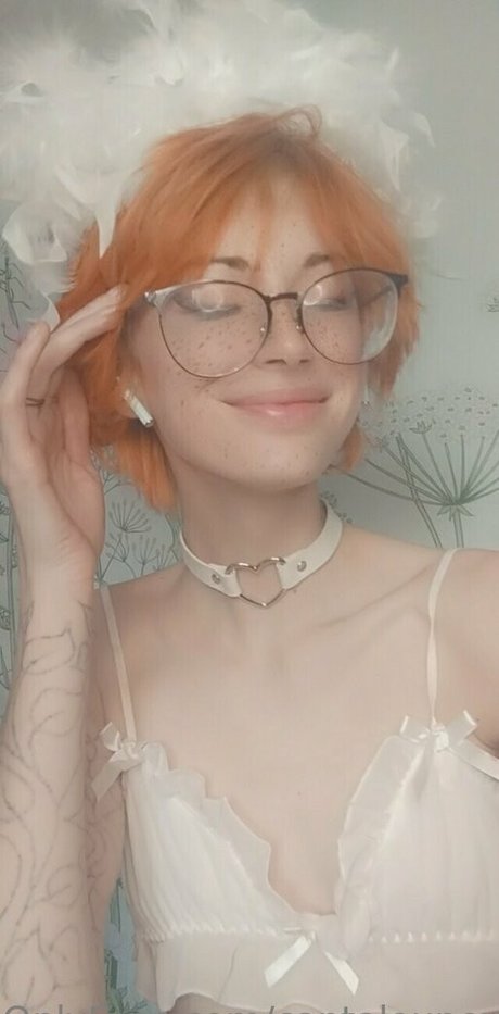 Cantaloupexo