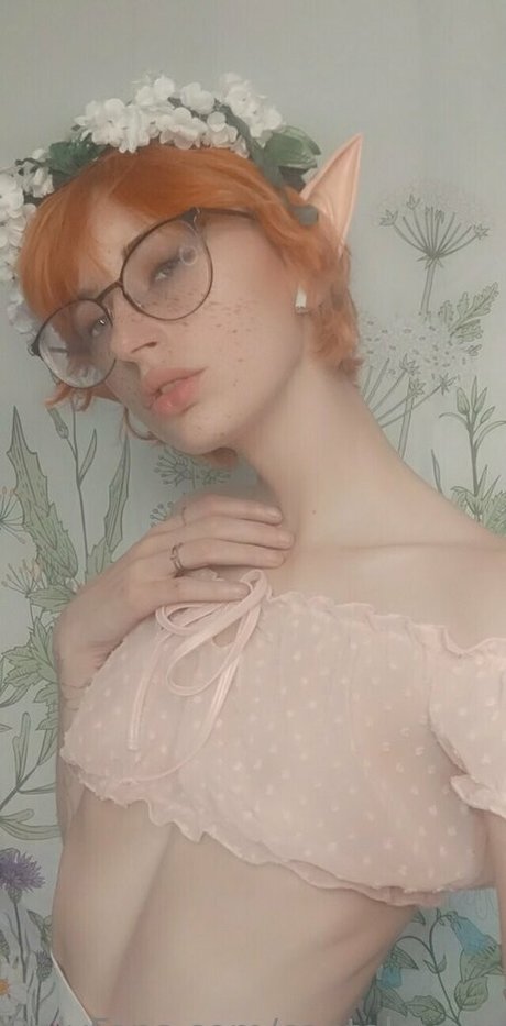 Cantaloupexo