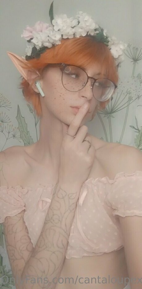 Cantaloupexo