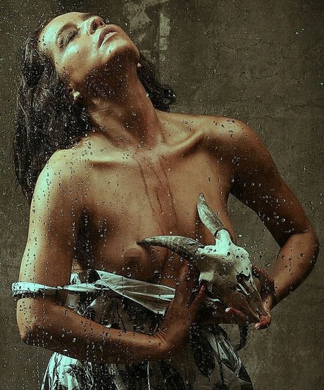 Diana Angel