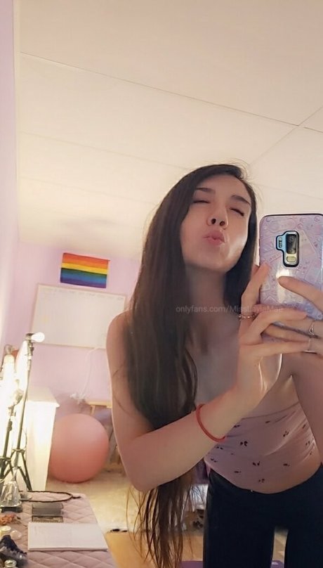 Misslaylamae