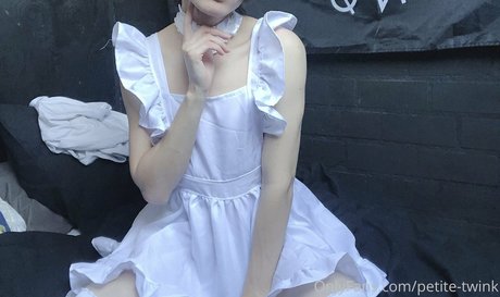 Petitetwink