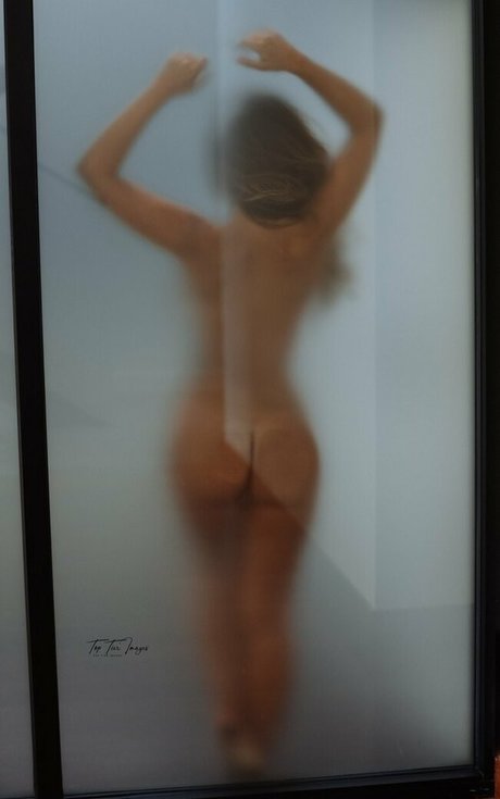 Toptierimages