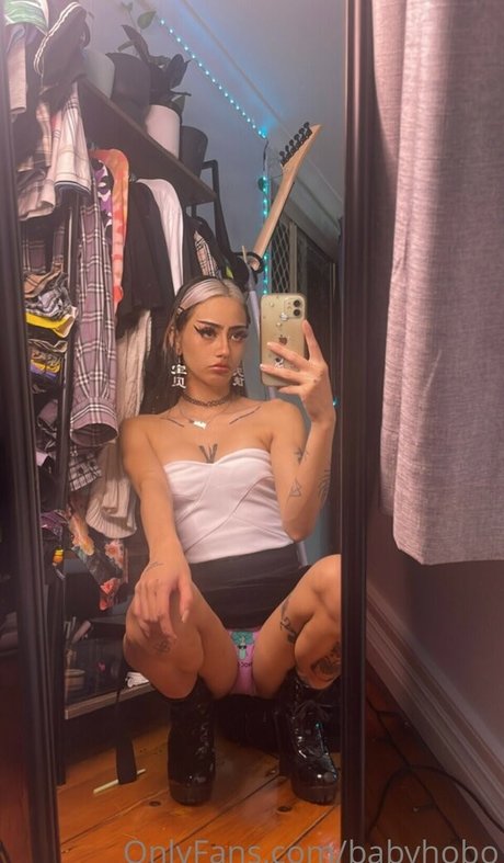 Babyhobo