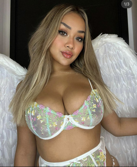 Sandraxo