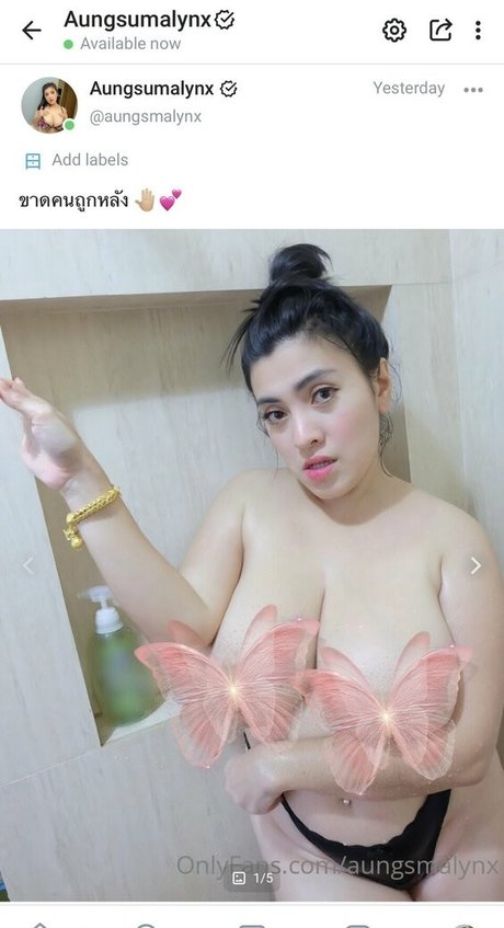 Aungsumalyn