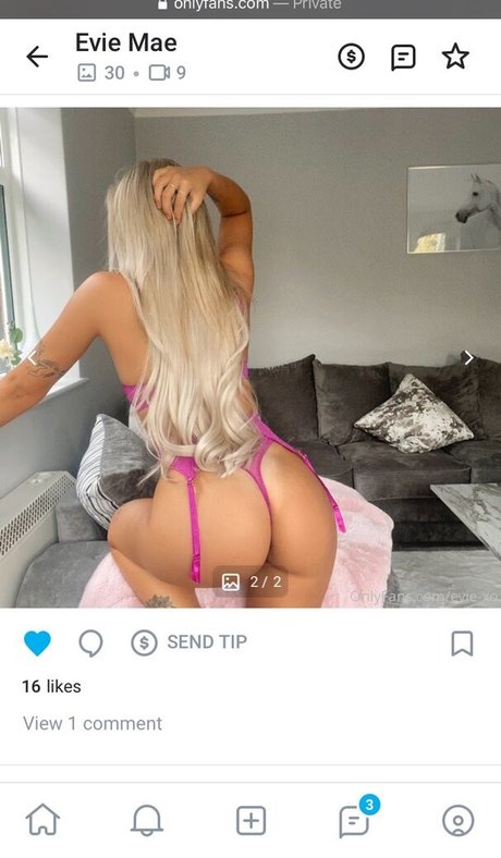 Eviexo