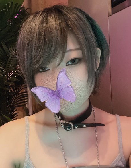 Otogi Shikimi