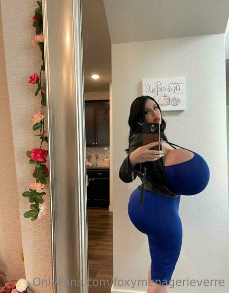 Nahá fotka uniklých OnlyFans od Foxy Menagerie Verre