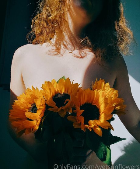 Wetsunflowers