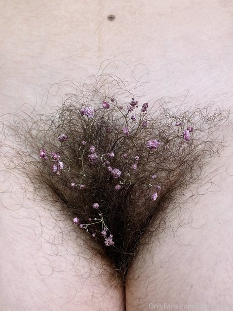 Hendrixina