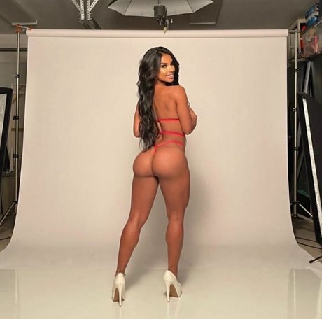 Brunettebarbieve