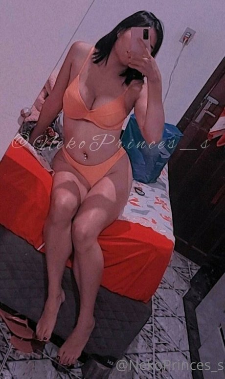 Nekoprincess