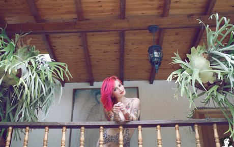 Fernanda Mercury