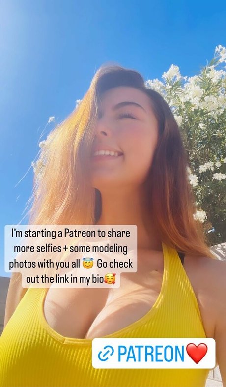 Jellybree