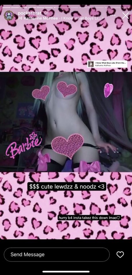 Pocketbrat