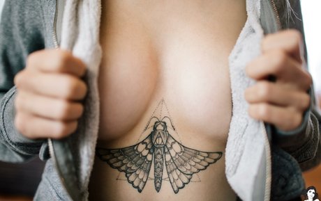 Lunarsuicide