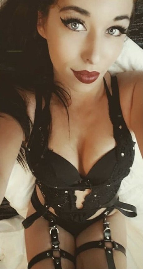 Din0kitten